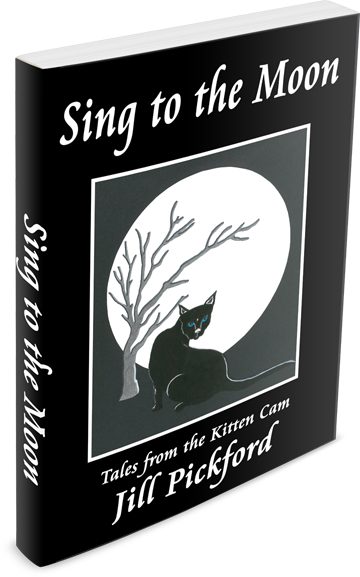 For All You Cat Lovers A Heartwarming Book Of Tales From